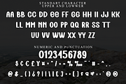 Bolding Series, a Script Font by FreshTypeINK (Thumbnail 8 of 8)