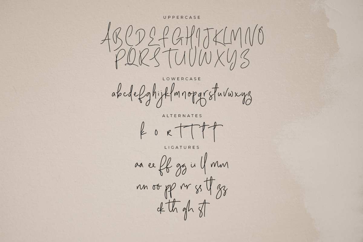Rustic Village | A Chill Handwritten, a Script Font by Colllab Studio (Photo 16 of 18)
