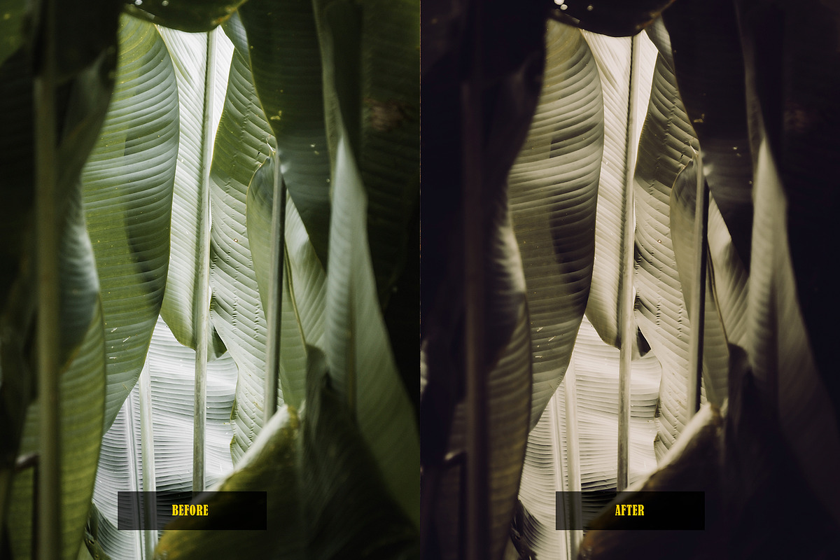 Analog Film Lightroom Presets, an Action Add-On by Lavinsky Art Store (Photo 11 of 12)