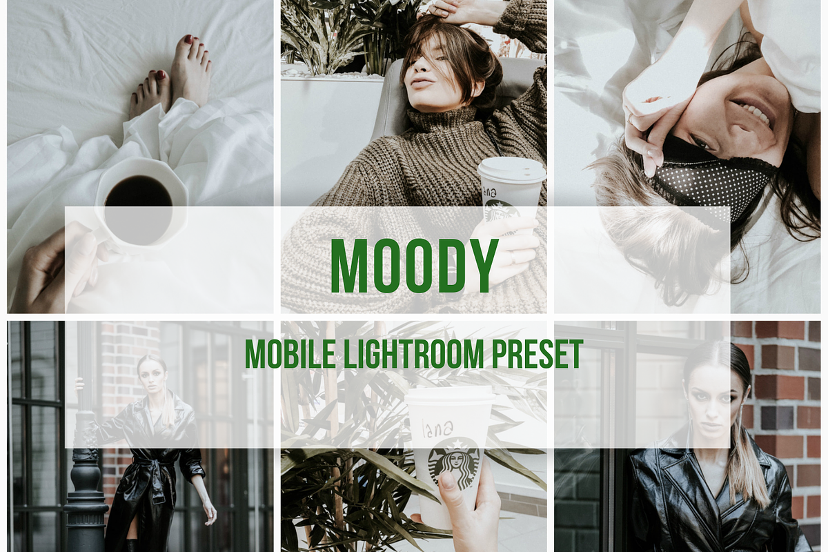 Lightroom Mobile Preset Moody, a Preset Add-On by 4presets (Photo 1 of 6)
