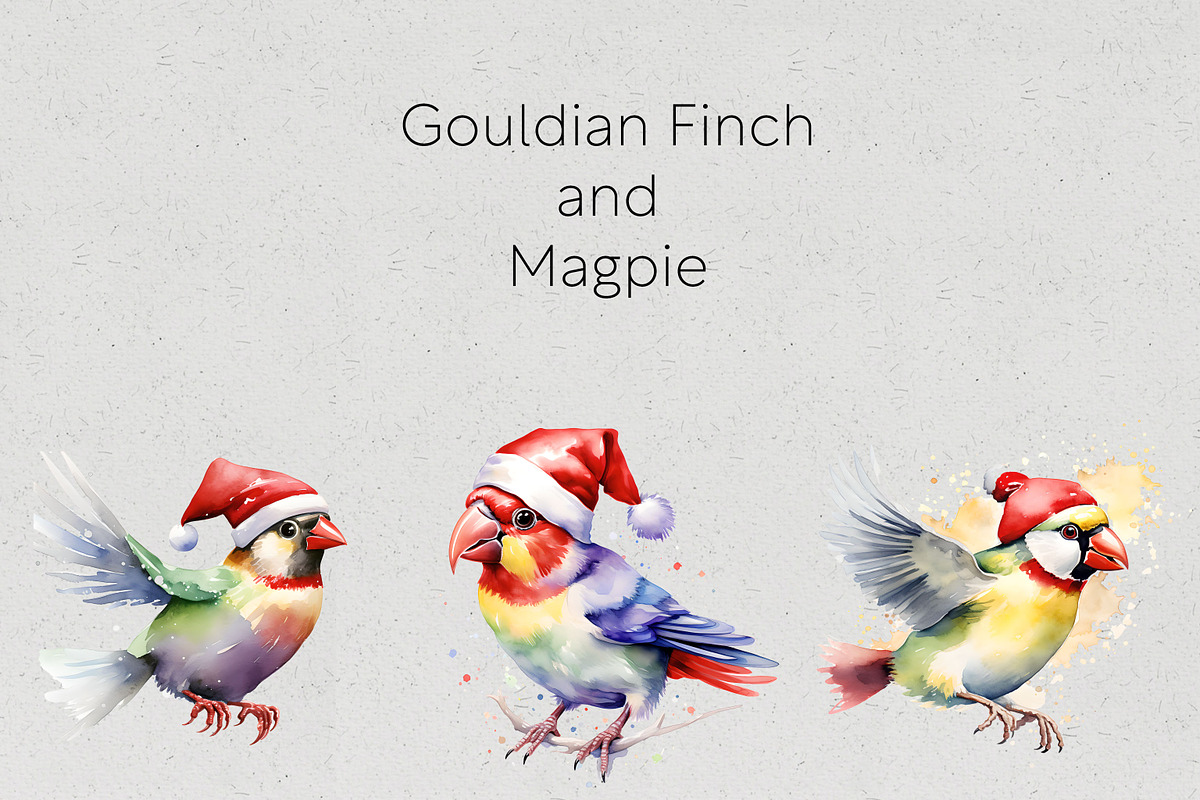 Christmas Australian Native Birds, a Seasonal Illustration by Pawcasso's Portraits (Photo 3 of 9)