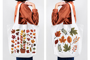 Autumn Leaves Clipart Bundle, a Seasonal Illustration by Whimsy Brush Studio (Thumbnail 7 of 9)