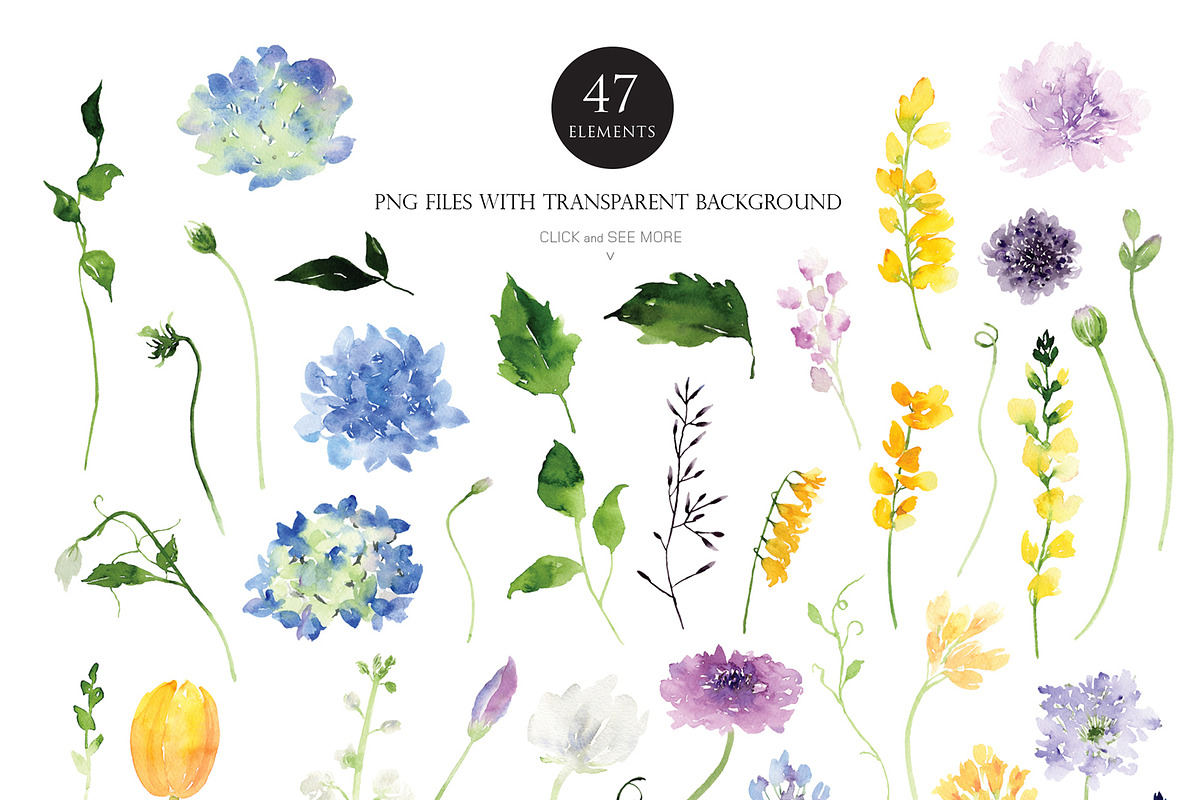 Watercolor Flower - Cheerful Set, an Illustration by Beigetime (Photo 2 of 11)