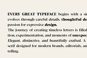 Chipno, a Serif Font by Attract Studio (Thumbnail 13 of 16)