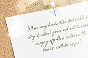 Paradine - Ligature Handwritten Font, a Handwritten Font by Sarid Ezra (Thumbnail 12 of 12)