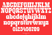 Gravebone, a Slab Serif Font by deadlock studio (Thumbnail 6 of 9)