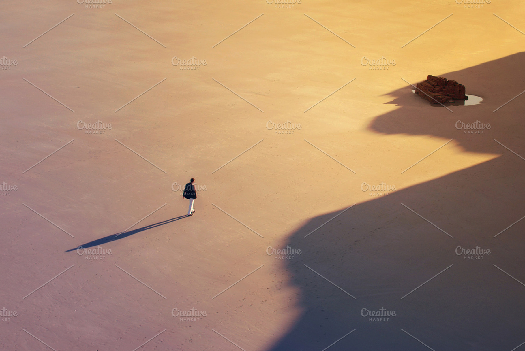 The longest journey, a Nature Photo by Cazador de sueños