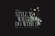 Magistr - Serif Font, a Serif Font by Graphicxell (Thumbnail 2 of 8)