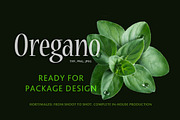 Oregano, an Object Graphic by Hortimages (Thumbnail 1 of 2)