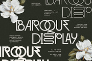 Baroque Grotesk - Ligature Rich Font, a Sans Serif Font by SilverStag Type Foundry (Thumbnail 8 of 20)