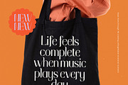 Cultural Festival Modern Serif, a Sans Serif Font by timelesstype.co (Thumbnail 5 of 20)