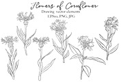 Flowers of Cornflower, a Decorative Illustration by cat_arch_angel (Thumbnail 4 of 7)