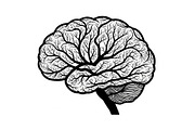 Brain Tree Knowledge Design Bundle, an Illustration by Gaye Art (Thumbnail 6 of 31)