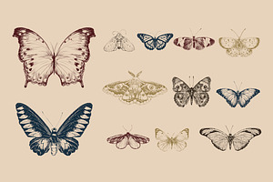 Animal Collection Vector