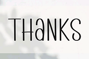 Sunshine Wildflower, a Sans Serif Font by FreshTypeINK (Thumbnail 4 of 6)