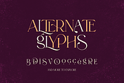 Enchanted Tales - Outstanding Font, a Serif Font by VP Fonts (Thumbnail 12 of 16)