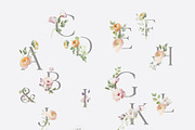 AIRY Watercolor Spring Collection, a Decorative Illustration by Muse Artist (Thumbnail 14 of 18)