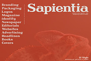 Sapientia - Serif Font Family, a Serif Font by Artistic & Unique (Thumbnail 11 of 12)
