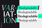 Scrifha Display Font Family, a Script Font by Hurufatfont (Thumbnail 2 of 16)