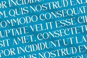 Quiravelle - Modern Serif Font, a Serif Font by Rishsketch (Thumbnail 9 of 15)
