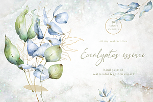 Eucalyptus essence watercolor set