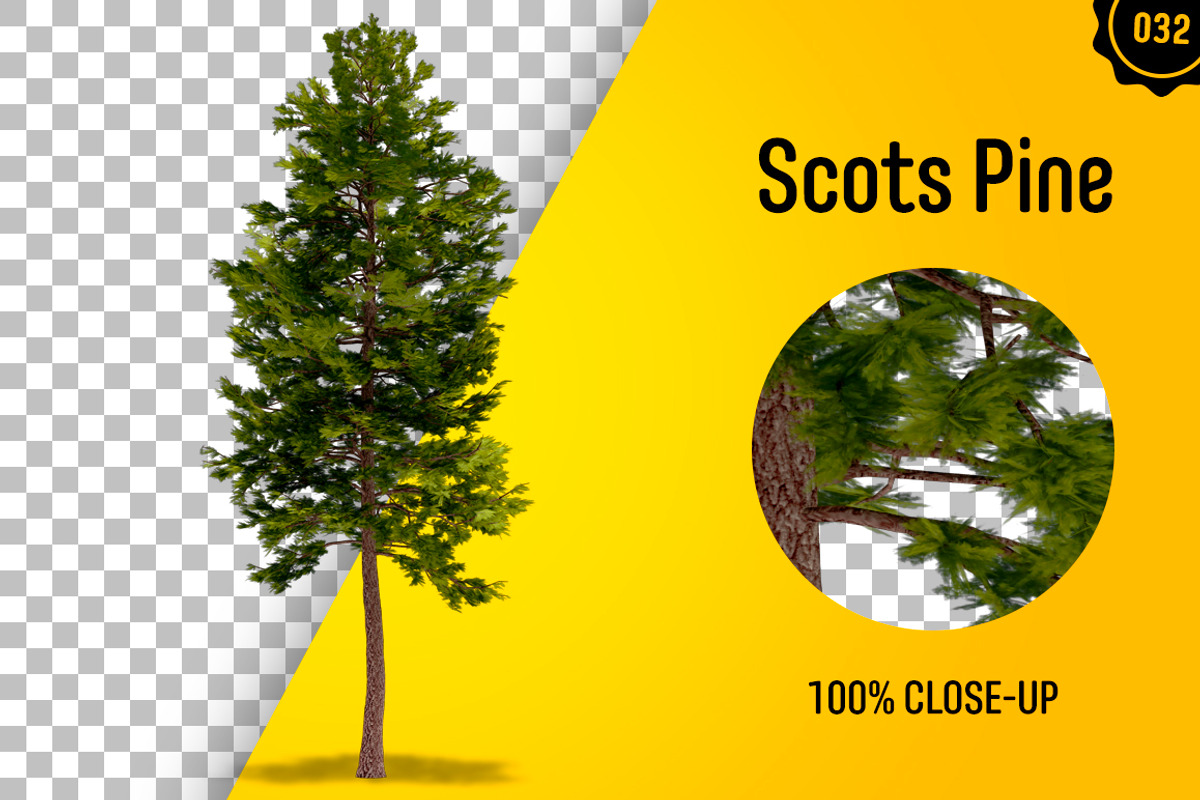 CUT OUT TREES - 60 PCS BUNDLE, a Packaging Mockup by 3DSTORE (Photo 33 of 63)
