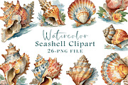 Watercolor Seashell Clipart, an Illustration by Libby Wishes (Thumbnail 1 of 4)