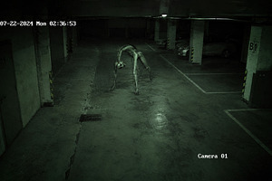 Creature Crawling Underground Garage, an Animal Photo by Hamza067