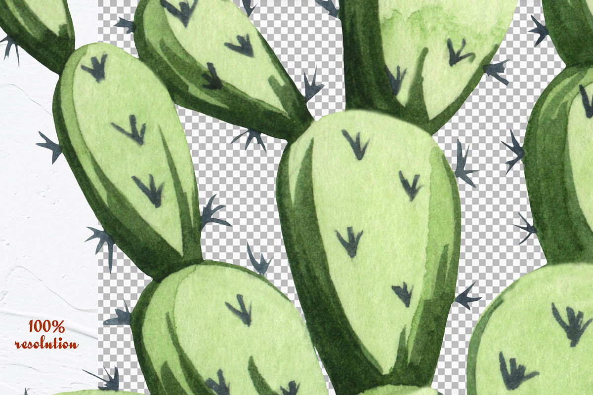 Cactus Watercolor Clipart. Succulent, a Decorative Illustration by BarvArt (Photo 5 of 5)