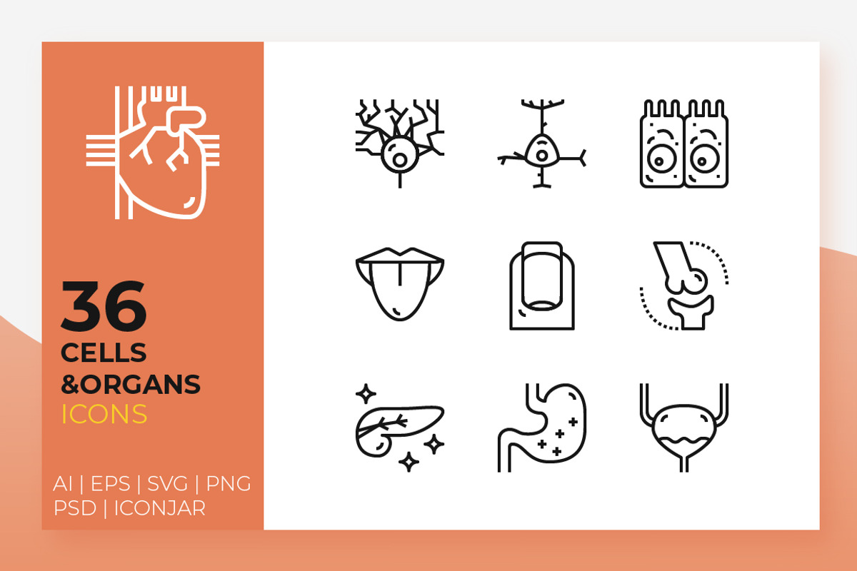 Cells & Organs icons, an Outline Icon by Becris (Photo 1 of 3)