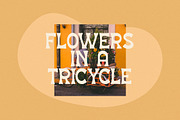 Chumi Chami Display Typeface Font, a Sans Serif Font by Storytype Studio (Thumbnail 2 of 15)