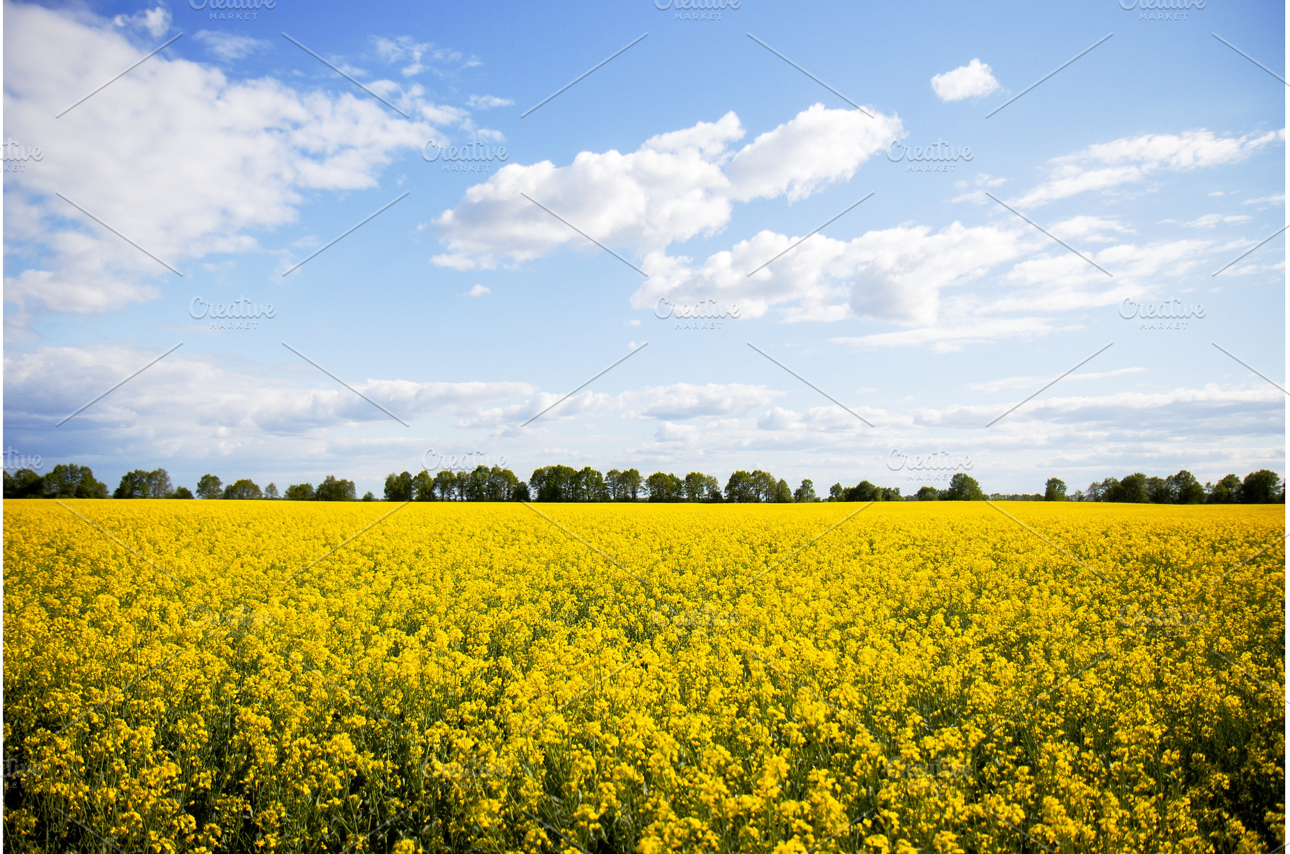 Beautiful agricultural scenery of, a Nature Photo by Pakosta