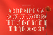 Woaster - Luxury Display Font, a Serif Font by Flawless And Co (Thumbnail 7 of 10)