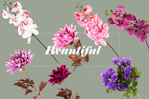 Flowers Scene Creator Mockup Set