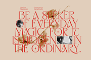 Calabassas Fresh Modern Serif, a Serif Font by Vampstudio (Thumbnail 2 of 13)