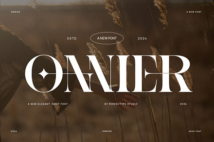 Onnier Elegant Ligature Serif Font T, a Serif Font by Perfectype