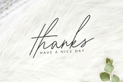 Gia Cristine -Elegant Signature Font, a Script Font by Alpaprana (Thumbnail 9 of 9)