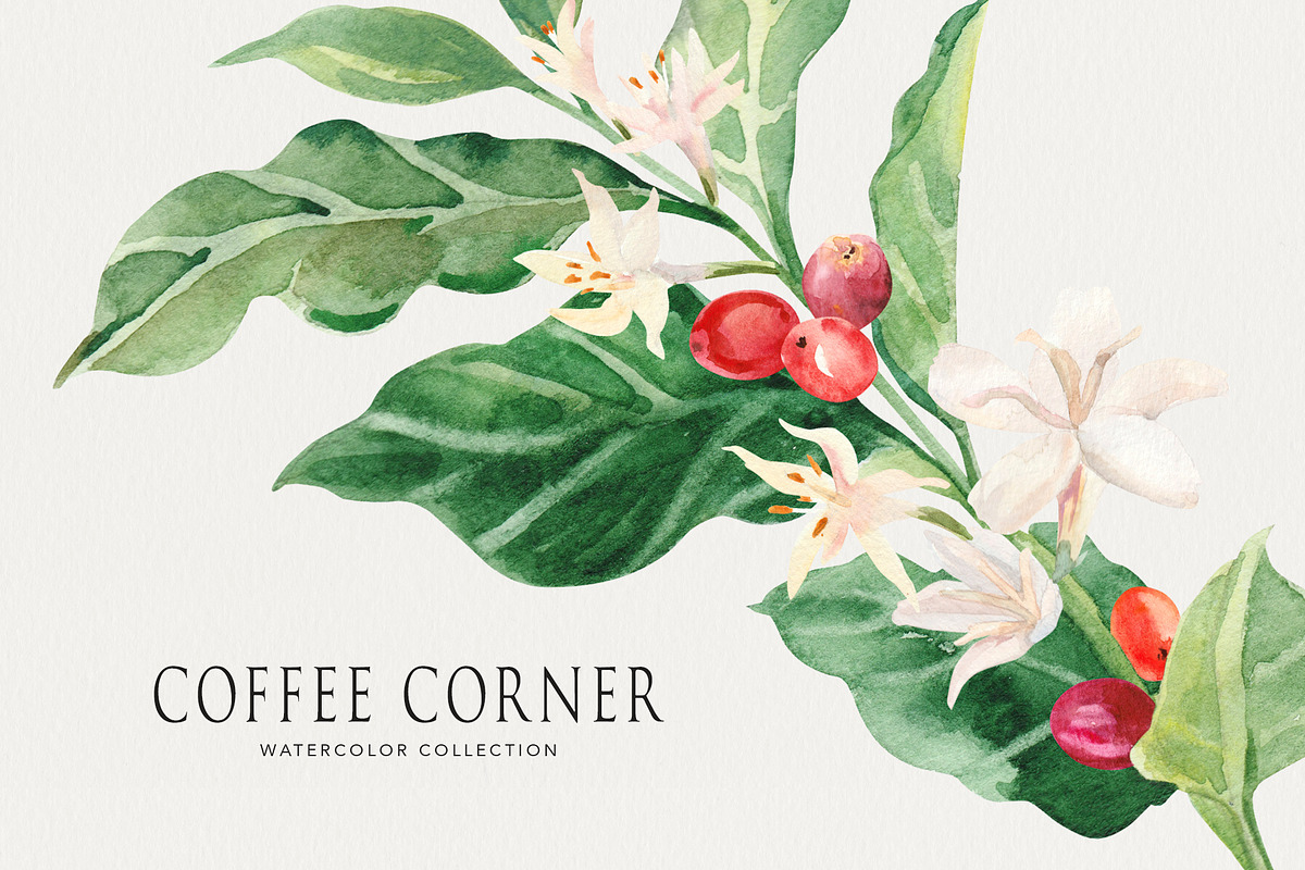 Coffee Corner watercolor, a Food Illustration by Volha Studio (Photo 11 of 11)