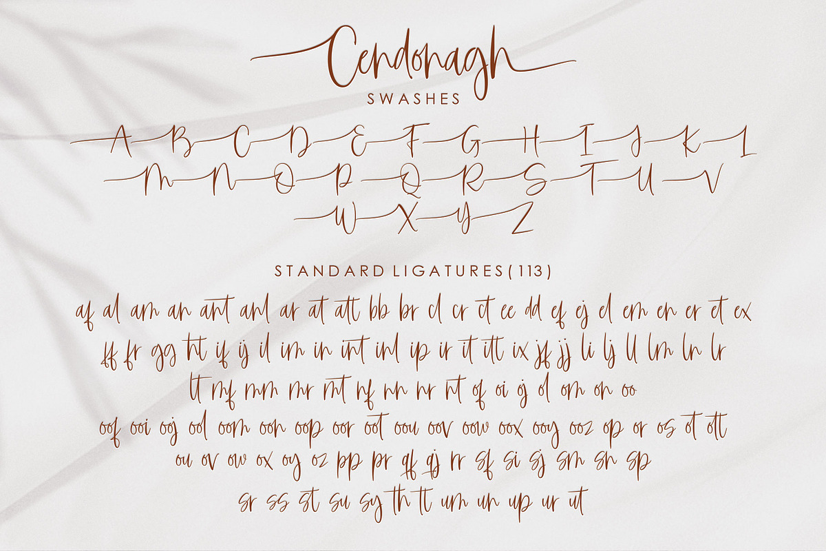 Cendonagh | Modern Script, a Script Font by Jhoel Design (Photo 13 of 15)