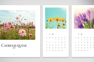 2025 Square Wall Calendar