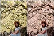 20 Lightroom Presets Spring Time p1, a Preset Add-On by PerfectStudioPresets (Thumbnail 2 of 10)