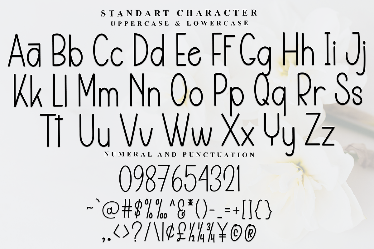 Vintage History, a Sans Serif Font by InermediaSTUDIO (Photo 4 of 7)