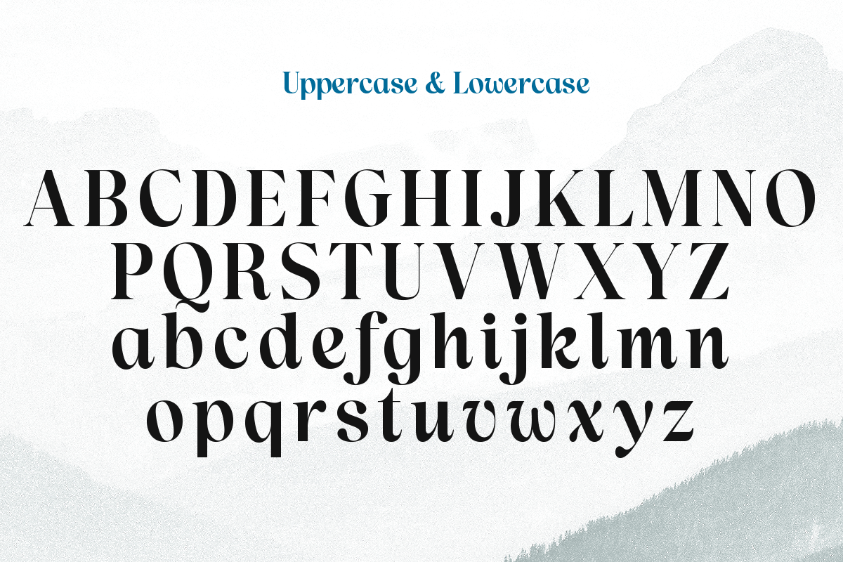 Lah Kagok, a Serif Font by Differentialtype (Photo 7 of 9)