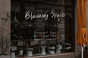 Blissful Radiance Handwritten Font, a Handwritten Font by The Gelato Type (Thumbnail 22 of 29)