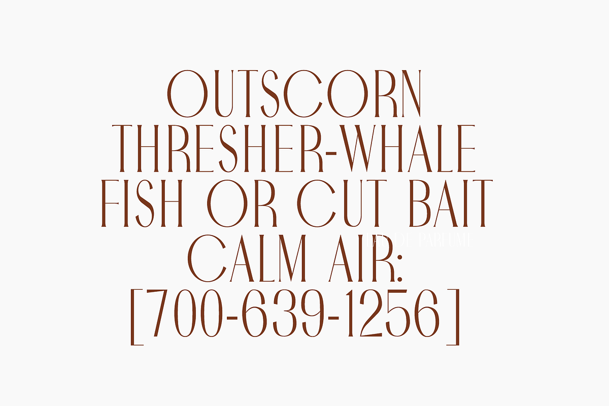 Noctaire - Modern Serif, a Serif Font by Sronstudio (Photo 5 of 18)
