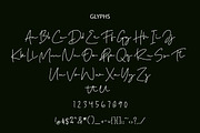 Rellond Signature Font, a Script Font by Lythcreative (Thumbnail 8 of 8)