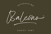 Baleono - Script Font, a Handwritten Font by GFRcreative (Thumbnail 1 of 8)