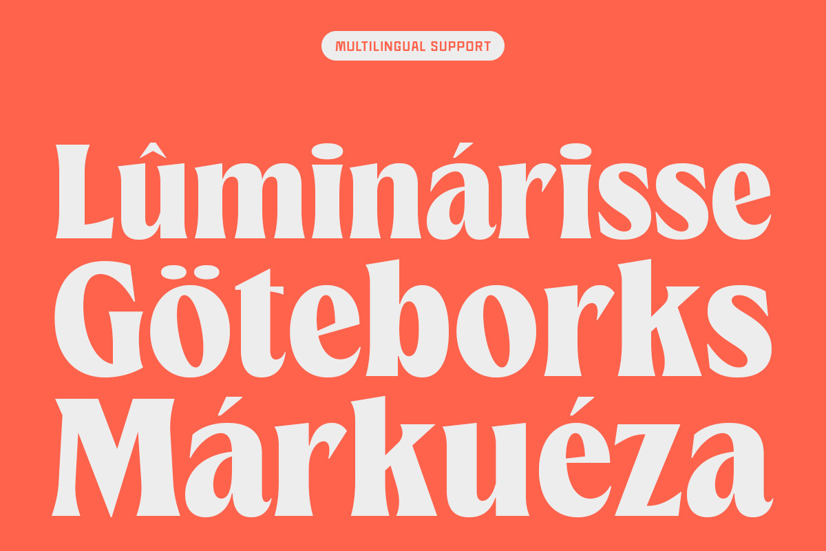 TNSC Means - Heavy Serif, a Serif Font by The Native Saint Club (Photo 4 of 12)