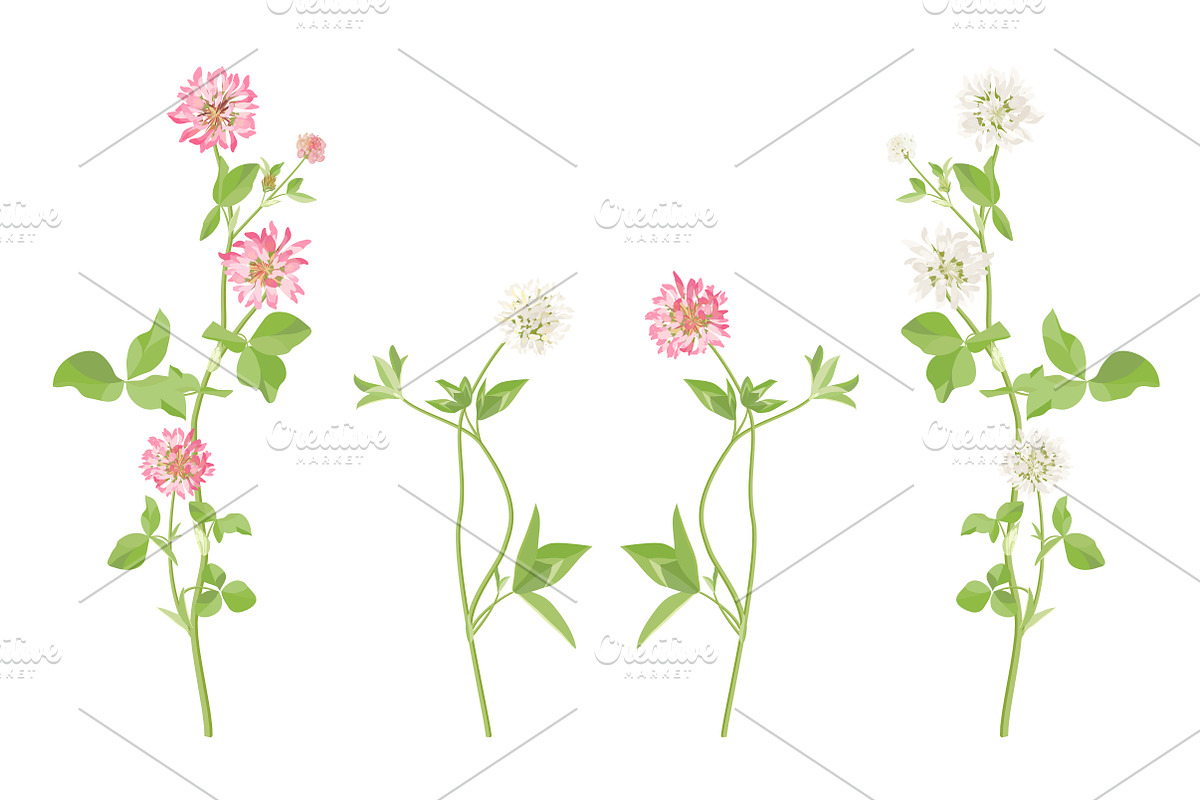 Vector object brushes. Clover, a Brush Add-On by Peolla (Photo 9 of 14)