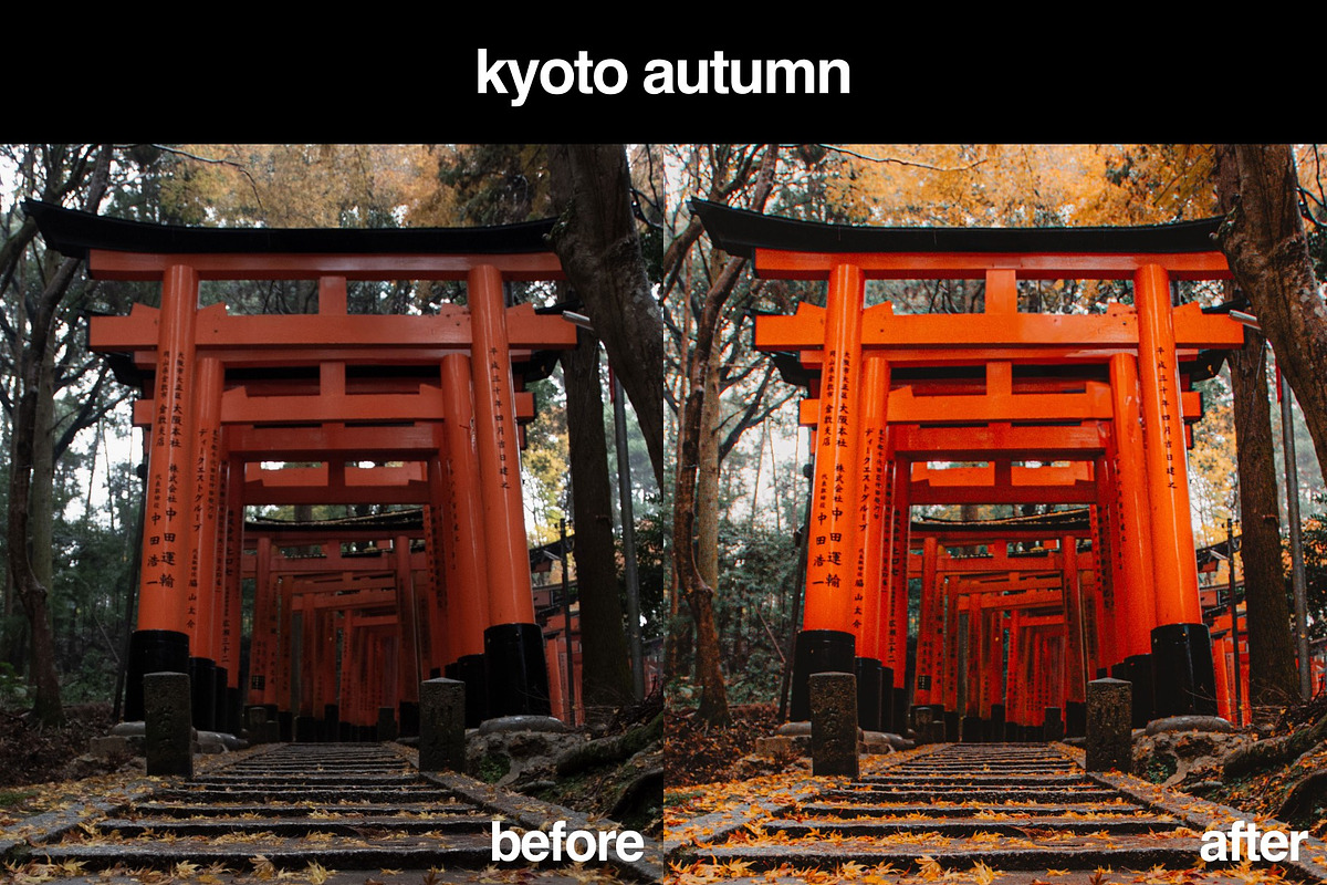 11 Japanese Lightroom Presets, a Preset Add-On by Gridfiti (Photo 9 of 12)
